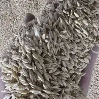 انواع خوراک دام و مرغ و ..