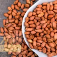 بادام هندی  کپسولی 4050|عمده‌فروشی|اصفهان, شهرک صنعتی جی|دیوار