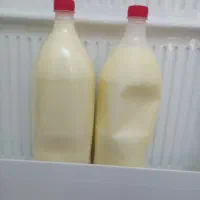 روغن محلی بز خالص
