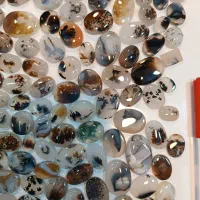 شجر قائن طبیعی