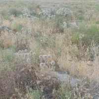 ۱۹۲ متر زمین واقع در شاهنامه ۳۱