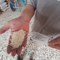 برنج هاشمی تازه الک کارخانه عمده وخرده