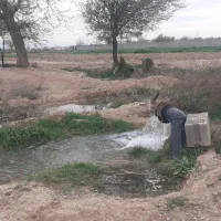 فروش زمین باغی ملکی همراه باآب آرامگاه فردوسی زا‌ک|فروش زمین و ملک کلنگی|مشهد, جانباز|دیوار