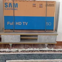 تلویزیون سام پلم