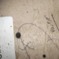 سنتور قدیمی سال 1375(سینکی)|سازهای سنتی|تهران, افسریه شمالی|دیوار