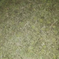 آویشن شیرازی