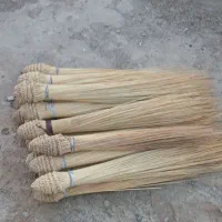 جارو زابلی