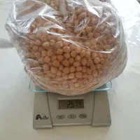 نخود حبوبات