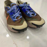 کفش نایک پگاسوس تریل گورتکس|کیف، کفش، کمربند|ایزدشهر, |دیوار