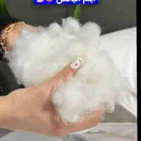 بالشت میکرو فایبر نمایندگی اصل کرج|رختخواب، بالش، پتو|کرج, اتحاد|دیوار