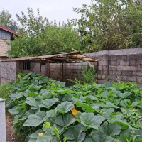 اجاره ویلایی ۱۱۰۰متری نزدیک اتوبان لاهیجان سیاهکل
