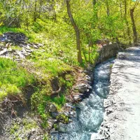 تور و گردشگری