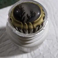 انگشتر شجر اصل که ۲میل رشد کرده|جواهرات|تاکستان, |دیوار