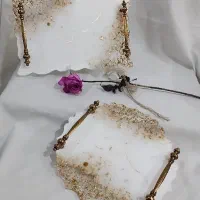 سینی های رزینی