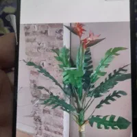 گل حراج|گل مصنوعی|بندرعباس, |دیوار