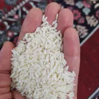 برنج خوش طعم وخوش عطر وخوش پخت