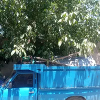 حمل آبرسانی شرب وغیرشرب