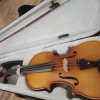 ویالون تی اف سایز ۴/۴|ویولن|شیراز, دشت چنار|دیوار