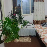اجاره آپارتمان ۶۰ متری ۱ خوابه در بنیاد|اجارهٔ آپارتمان|کرج, بنیاد|دیوار