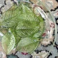 وسایل گل کریستال.|گل مصنوعی|شاهرود, |دیوار