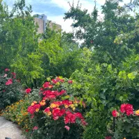 خانه باغ|فروش خانه و ویلا|سبزوار, ابارش|دیوار