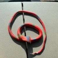 اسباب بازی لبوبو