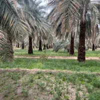 با۱۵ملیونچکاریمیشهیادگرفت