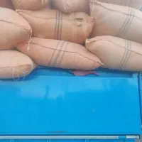 کاه گندم درجه یک