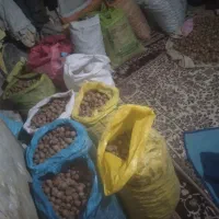 گردو تازه روستای گروه کیلو ۴۰۰هزار|حراج|چناران, |دیوار