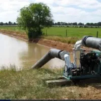 گم شده پروانه کشاورزی