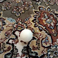 عتیقه|کلکسیون اشیاء عتیقه|سنندج, |دیوار