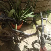فروش دوچرخه