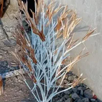 حفاظ شاخ گوزنی.نرده.درب اکاردئونی