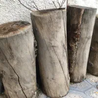 کنده درخت طبیعی مناسب دکور،باغچه،حیاط