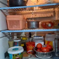 یخچال|یخچال و فریزر|کرمانشاه, |دیوار