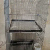 قفس پرنده