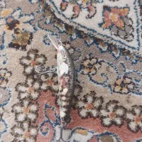 تعدادی طعمه اورجینال