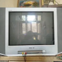 تلوزیون
