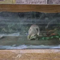 آکواریوم بزرگ رایگان