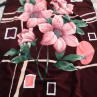 کوله پشتی وغیره|کیف، کفش، کمربند|بوکان, |دیوار