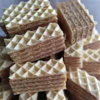 استخدام/کارگر ساده و ماهر/خانم،آقا/کارخانه ویفر