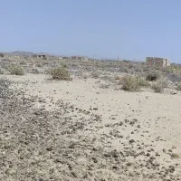 فروش فوری زمین به متراژ 382 متر سند تک برگ|فروش زمین و ملک کلنگی|کهنوج, |دیوار