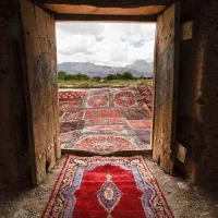 قالیشویی اعلاء      مبل شویی و سمپاشی