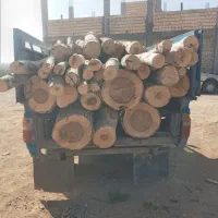 خرید و فروش  انواع چوب سربرداری کف بری حرس کردن|خدمات باغبانی و درختکاری|باغ بهادران, |دیوار