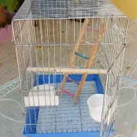 قفس  پرنده