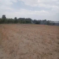 زمین 3000 متری محدوده گلبهار|فروش زمین و ملک کلنگی|گلبهار, نوبهار|دیوار