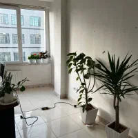 فروش خدماتی ۶۲ متری ملاهادی