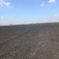 فروش ۴ هکتارزمین کشاورزی نزدیک  قره چشمه|فروش دفتر صنعتی، کشاورزی، تجاری|مینودشت, |دیوار
