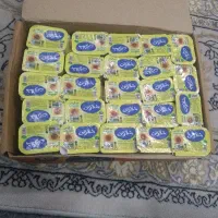 کره گیاهی تک نفره ۱۰ گرمی