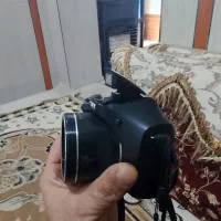 سالم بدون هیچ عیبی